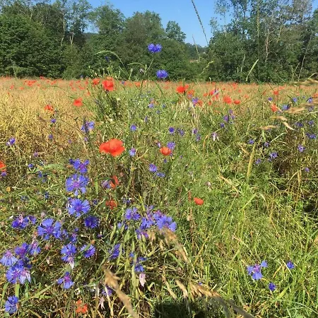 Haus Dorfblick Апартаменты Элльмау